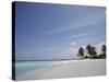 Vilamendhoo Island, Ari Atoll, Maldives, Indian Ocean-Angelo Cavalli-Stretched Canvas