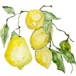 Branch of Ripe Sour Lemons-vilax-Art Print