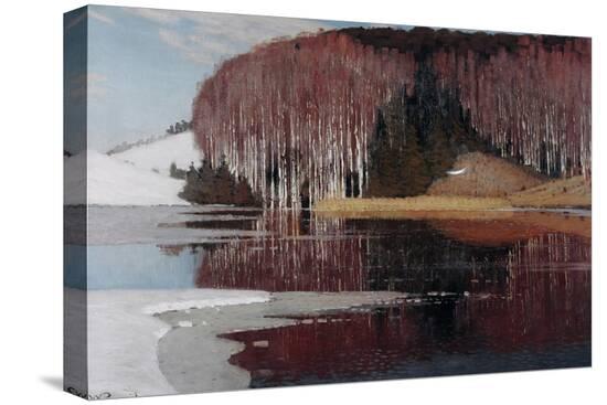 Stretched Canvas Print, , large