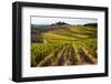 Villa and Vineyards in the Rolling Hills of Tuscany-Terry Eggers-Framed Photographic Print