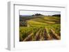 Villa and Vineyards in the Rolling Hills of Tuscany-Terry Eggers-Framed Photographic Print