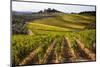 Villa and Vineyards in the Rolling Hills of Tuscany-Terry Eggers-Mounted Photographic Print