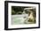 Villa Borghese Park-Stefano Amantini-Framed Photographic Print