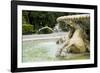 Villa Borghese Park-Stefano Amantini-Framed Photographic Print