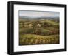 Villa d'Calabria-Hulsey-Framed Art Print