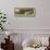 Villa Deste, Autumn-Ettore Roesler Franz-Framed Premium Giclee Print displayed on a wall