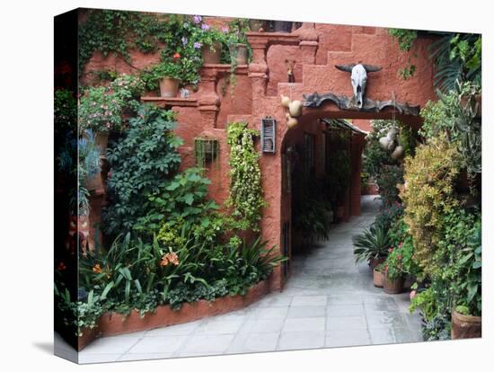 Villa Entrance to Garden, San Miguel De Allende, Mexico-Nancy Rotenberg-Stretched Canvas