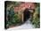 Villa Entrance to Garden, San Miguel De Allende, Mexico-Nancy Rotenberg-Stretched Canvas