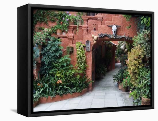 Villa Entrance to Garden, San Miguel De Allende, Mexico-Nancy Rotenberg-Framed Stretched Canvas