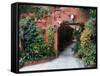 Villa Entrance to Garden, San Miguel De Allende, Mexico-Nancy Rotenberg-Framed Stretched Canvas