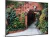 Villa Entrance to Garden, San Miguel De Allende, Mexico-Nancy Rotenberg-Mounted Photographic Print