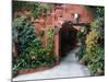 Villa Entrance to Garden, San Miguel De Allende, Mexico-Nancy Rotenberg-Mounted Photographic Print