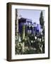 Villa Exterior, Jardin Majorelle and Museum of Islamic Art, Marrakech, Morocco-Walter Bibikow-Framed Photographic Print