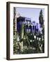 Villa Exterior, Jardin Majorelle and Museum of Islamic Art, Marrakech, Morocco-Walter Bibikow-Framed Photographic Print