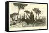 Villa Falconieri, Near Frascati-null-Framed Stretched Canvas