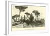 Villa Falconieri, Near Frascati-null-Framed Giclee Print