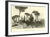 Villa Falconieri, Near Frascati-null-Framed Giclee Print