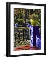 Villa Gardens, Jardin Majorelle and Museum of Islamic Art, Marrakech, Morocco-Walter Bibikow-Framed Photographic Print