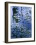 Villa Gardens, Jardin Majorelle and Museum of Islamic Art, Marrakech, Morocco-Walter Bibikow-Framed Photographic Print