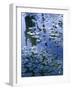 Villa Gardens, Jardin Majorelle and Museum of Islamic Art, Marrakech, Morocco-Walter Bibikow-Framed Photographic Print