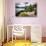 Villa Gate, Lake Como, Italy-George Oze-Photographic Print displayed on a wall