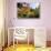 Villa Hanbury at Hanbury Botanic Gardens near Ventimiglia, Province of Imperia, Liguria, Italy-null-Stretched Canvas displayed on a wall