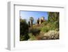 Villa Hanbury at Hanbury Botanic Gardens near Ventimiglia, Province of Imperia, Liguria, Italy-null-Framed Art Print