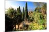 Villa Hanbury at Hanbury Botanic Gardens near Ventimiglia, Province of Imperia, Liguria, Italy-null-Mounted Art Print