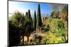 Villa Hanbury at Hanbury Botanic Gardens near Ventimiglia, Province of Imperia, Liguria, Italy-null-Mounted Art Print