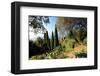 Villa Hanbury at Hanbury Botanic Gardens near Ventimiglia, Province of Imperia, Liguria, Italy-null-Framed Art Print