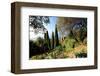 Villa Hanbury at Hanbury Botanic Gardens near Ventimiglia, Province of Imperia, Liguria, Italy-null-Framed Art Print