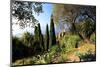 Villa Hanbury at Hanbury Botanic Gardens near Ventimiglia, Province of Imperia, Liguria, Italy-null-Mounted Art Print