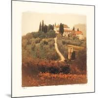 Villa I-Amy Melious-Mounted Art Print