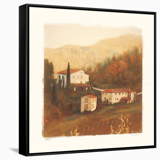 Villa II-Amy Melious-Framed Stretched Canvas