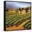 Villa in the Vinyards of Tuscany-Tim Howe-Framed Stretched Canvas