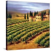 Villa in the Vinyards of Tuscany-Tim Howe-Stretched Canvas