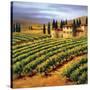 Villa in the Vinyards of Tuscany-Tim Howe-Stretched Canvas