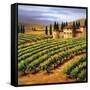 Villa in the Vinyards of Tuscany-Tim Howe-Framed Stretched Canvas