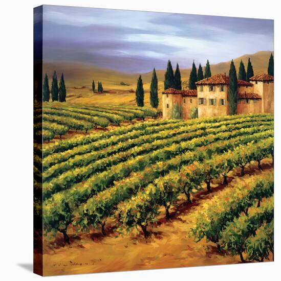 Villa in the Vinyards of Tuscany-Tim Howe-Stretched Canvas