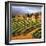 Villa in the Vinyards of Tuscany-Tim Howe-Framed Giclee Print