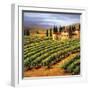 Villa in the Vinyards of Tuscany-Tim Howe-Framed Giclee Print