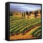 Villa in the Vinyards of Tuscany-Tim Howe-Framed Stretched Canvas