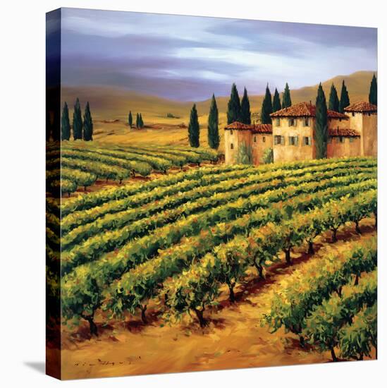 Villa in the Vinyards of Tuscany-Tim Howe-Stretched Canvas