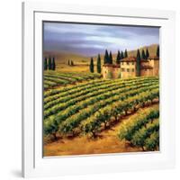 Villa in the Vinyards of Tuscany-Tim Howe-Framed Premium Giclee Print