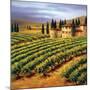 Villa in the Vinyards of Tuscany-Tim Howe-Mounted Premium Giclee Print