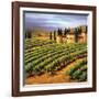 Villa in the Vinyards of Tuscany-Tim Howe-Framed Premium Giclee Print