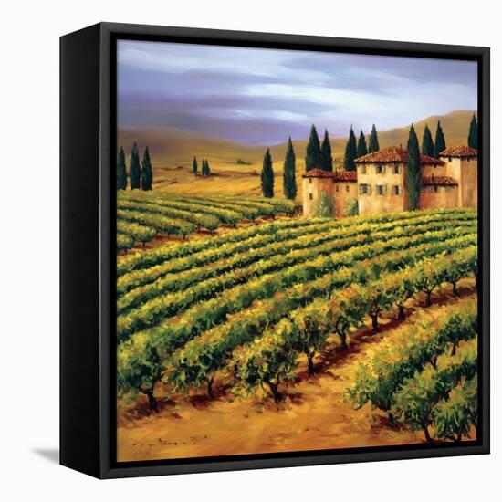 Villa in the Vinyards of Tuscany-Tim Howe-Framed Stretched Canvas