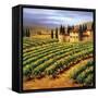 Villa in the Vinyards of Tuscany-Tim Howe-Framed Stretched Canvas