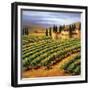 Villa in the Vinyards of Tuscany-Tim Howe-Framed Giclee Print