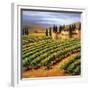 Villa in the Vinyards of Tuscany-Tim Howe-Framed Giclee Print